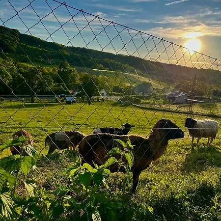 Lägenhet Papavero Vendeghaz *